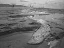 Strand Scheveningen 2